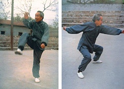 /shaolin/teachers/12513/