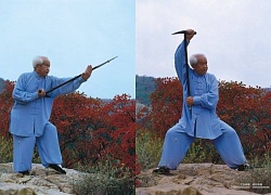 /shaolin/teachers/12513/