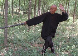 /shaolin/teachers/5854/